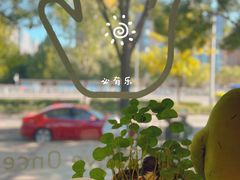 -BE YOLO必有乐&小红帽三明治