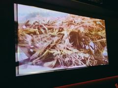-金御沐足·影院式足道(新城店)