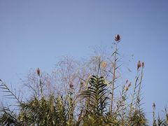 -白鹭湾湿地公园