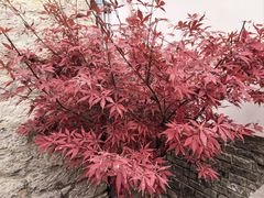 -天朝元辅-徐州民俗博物馆
