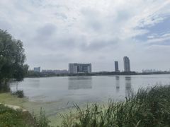 -金银湖国家城市湿地公园