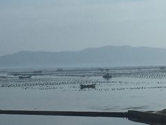 -兴旺渔家