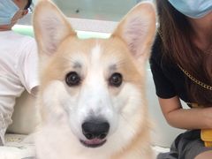 -全心全意连锁动物医院(石景山店)
