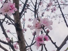 -大罗山风景区
