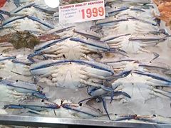 -悉尼鱼市场