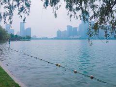 -天鹅湖体育公园