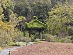 -云溪植物园