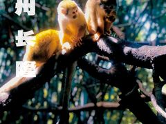 -广州长隆野生动物世界