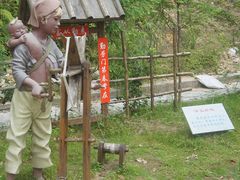 -广州市流溪河国家森林公园