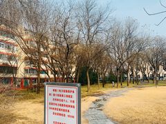 -玲珑塔公园
