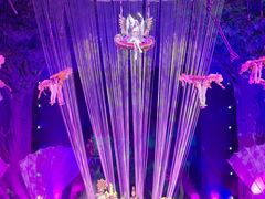 -广州长隆国际大马戏