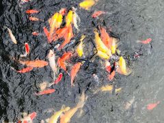 -呼兰河口湿地公园