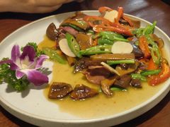 鲜炒黑牛肝菌-紫滇源云南生态菜(丹凤街店)
