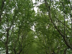 -南京理工大学紫金学院