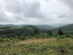 -塞罕坝国家级自然保护区