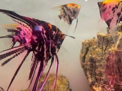 -多彩贵州城极地海洋世界