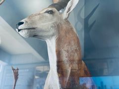 -陕西自然博物馆