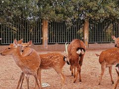 -上海华凯华美达广场酒店
