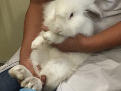 -美迦爱-牙专科·兔科·骨科诊疗中心(北苑店)