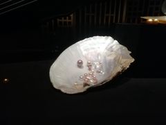 -深圳珠宝博物馆