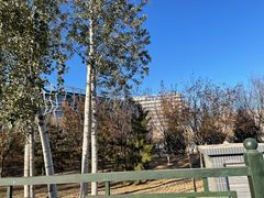 -首都医科大学附属北京天坛医院