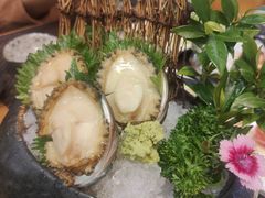 -樱の千渡日式料理·铁板烧•烧鸟(金盛田广场店)