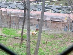 -哈尔滨北方森林动物园
