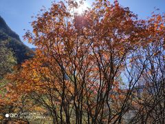 -叠溪松坪沟景区