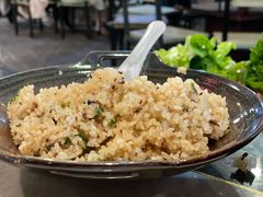 -蘑统田下·野生菌火锅