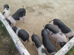 -湖南湘都生态农业园