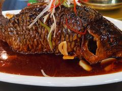 罾蹦鲤鱼-津菜宋记老房子(鼓楼店)