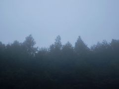 -山王坪喀斯特国家生态公园