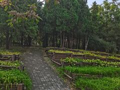 -长辛店二七公园