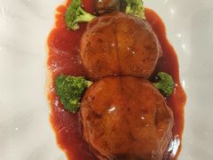 -丁老爷子苏香圆