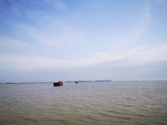 -大湾区中央湿地公园