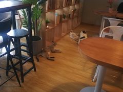 -Cappucimeow猫咪咖啡馆(韦伯时代店)