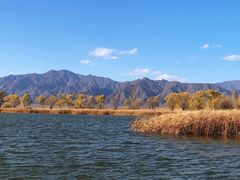 -野鸭湖国家湿地公园