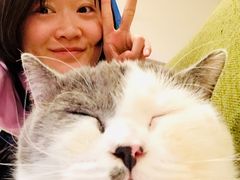 -Cappucimeow猫咪咖啡馆(韦伯时代店)