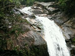 -九龙江国家森林公园