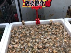 -蚝专家(北滘店)