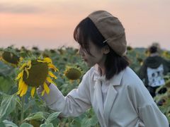 -映月湖中央公园