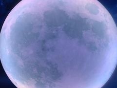 -天津梵高星空艺术馆(天河城旗舰店)