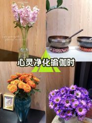 -拉伽瑜伽·普拉提·月付制