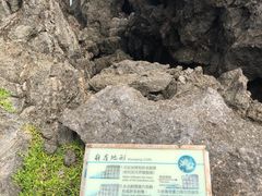 -龙坑生态保护区