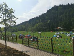 -武陵山森林公园