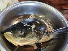 -好灶头妈妈菜·柴火灶台鱼·千岛湖土菜地标美食