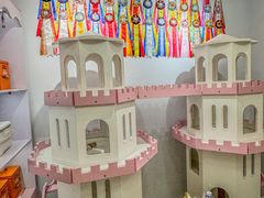 -青奢宠物·青奢猫舍