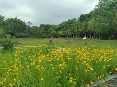 -白塘生态植物园