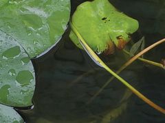 -西安市广仁寺