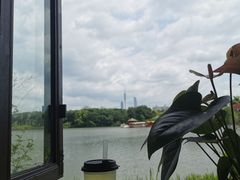 -海珠湖公园